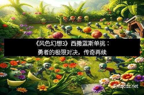 《风色幻想3》西撒蓝斯单挑：勇者的极限对决，传奇再续